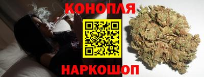 прущие грибы Обь
