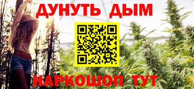 прущие грибы Обь