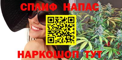 прущие грибы Обь