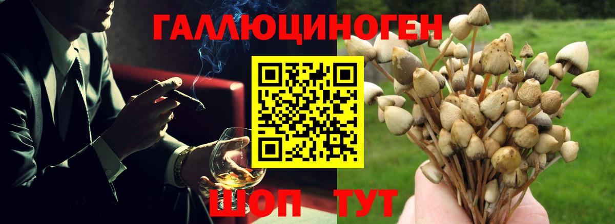 Псилоцибиновые грибы Magic Shrooms Тихорецк